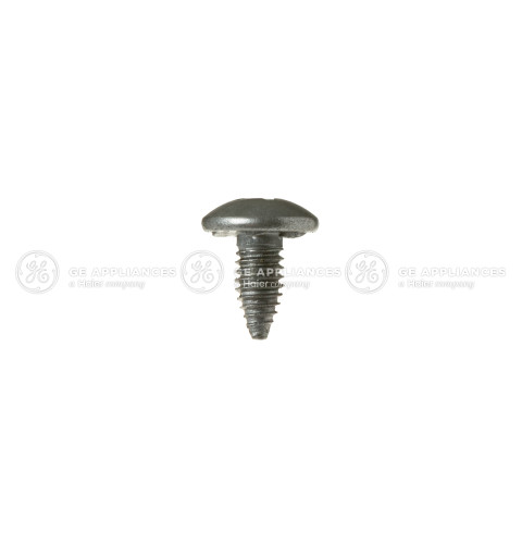 SPECIAL SCREW