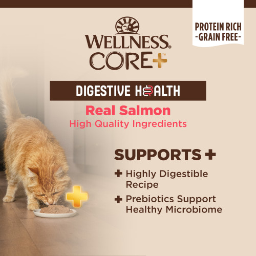 The benifts of Wellness CORE+ Digestive Health Salmon