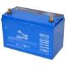 Fullriver Battery, DC115-12 Premium Deep Cycle AGM Battery