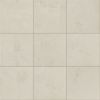 Empire Cadet White 12×12 Field Tile Polished Rectified