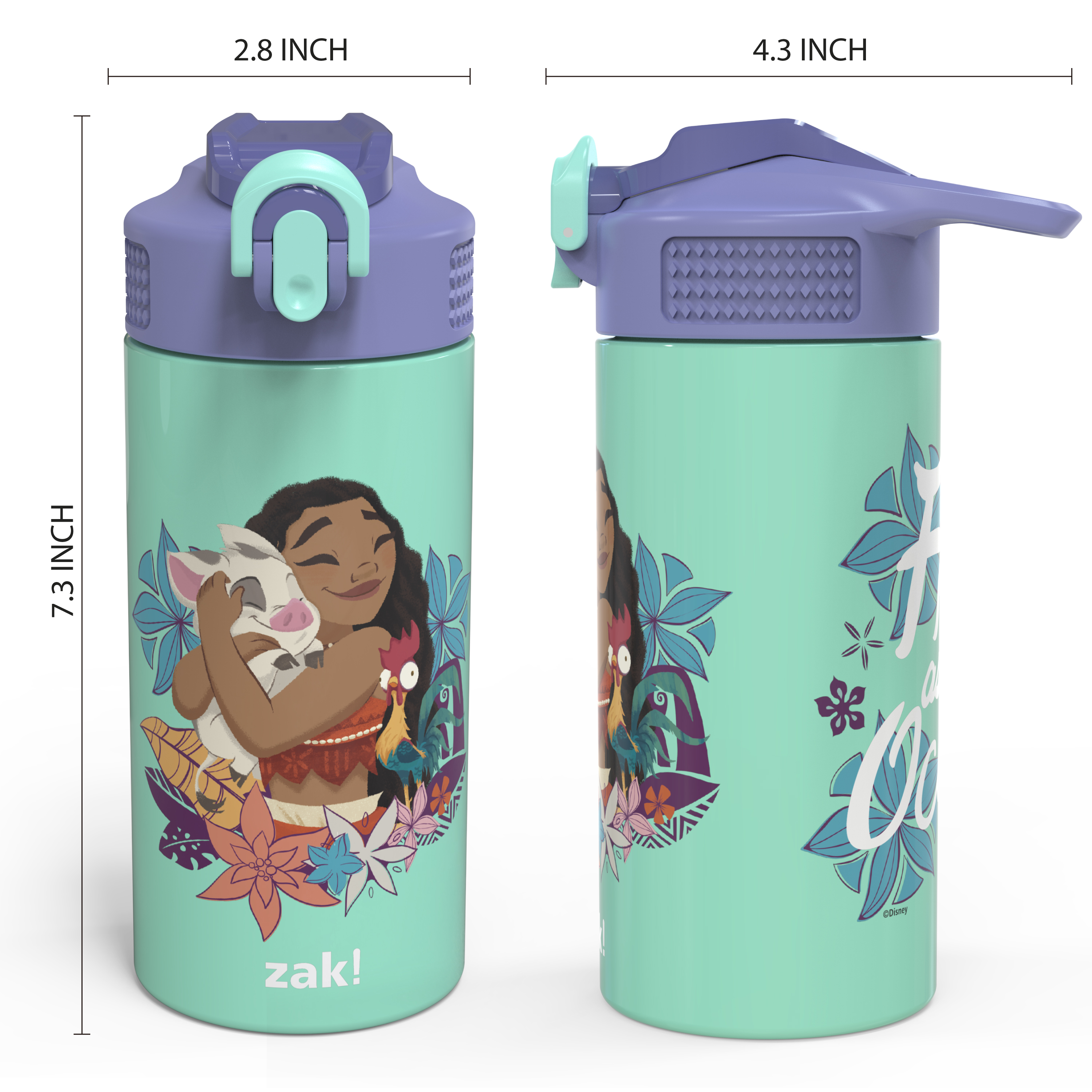 Disney 14 ounce Stainless Steel Vacuum Insulated Water Bottle, Moana slideshow image 8