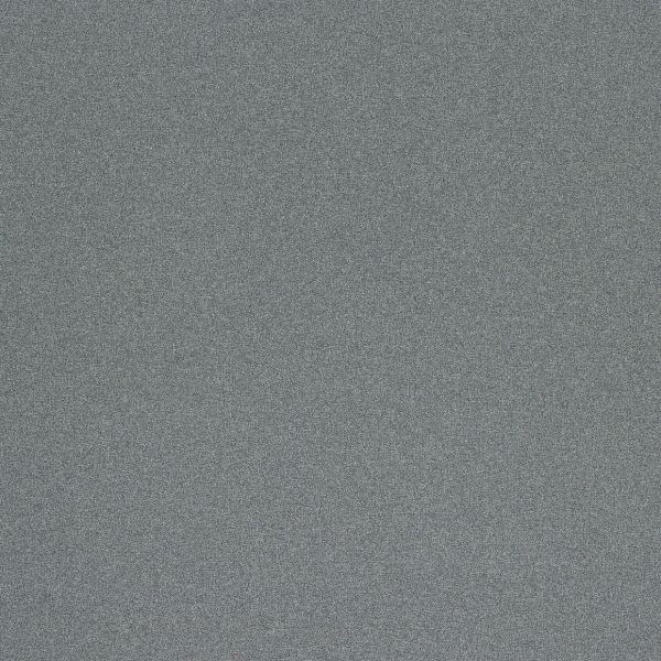 Gray speckled texture fills the entire frame, appearing as coarse static or fabric; close-up, flat and evenly lit with no discernible objects, depth, or contextual clues.