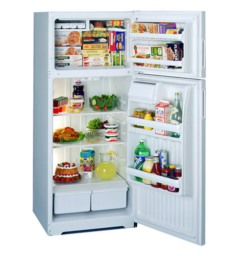 Hotpoint® 15.6 Cu. Ft. Top-Mount No-Frost Refrigerator