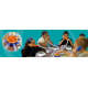 s--169XIW8H--/fze3deqfutv6iitotiap.jpg