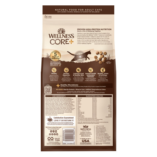 Wellness CORE+ Digestive Health Salmon back packaging