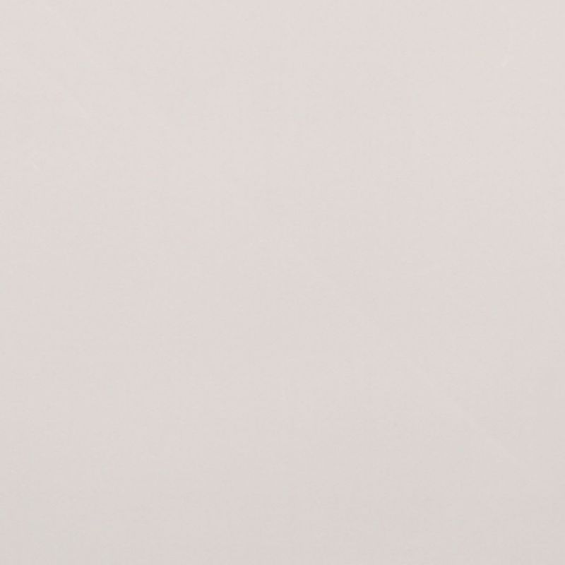Pale, slightly textured beige wall filling the frame, unadorned and evenly lit, presenting a uniform neutral background with soft diffuse lighting and no visible furniture, windows, or objects.