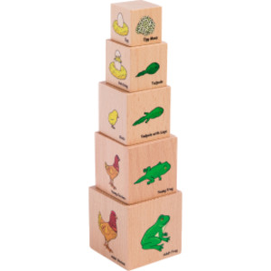 Lifecycle Wooden Blocks - Set of 5