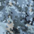 Badeshorts Bark swatch