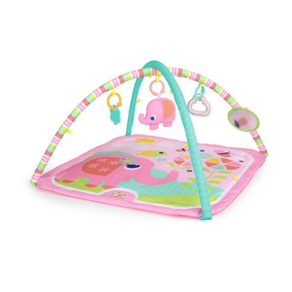 Fanciful Flowers™ Activity Gym