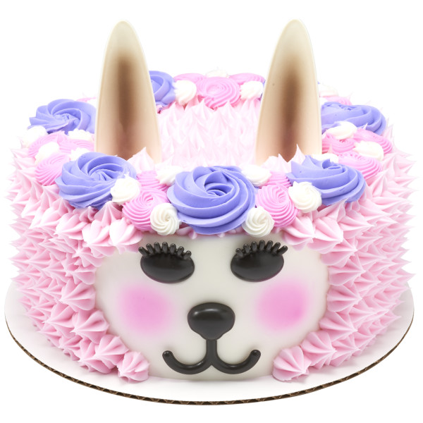 Pet Creations DecoSet®