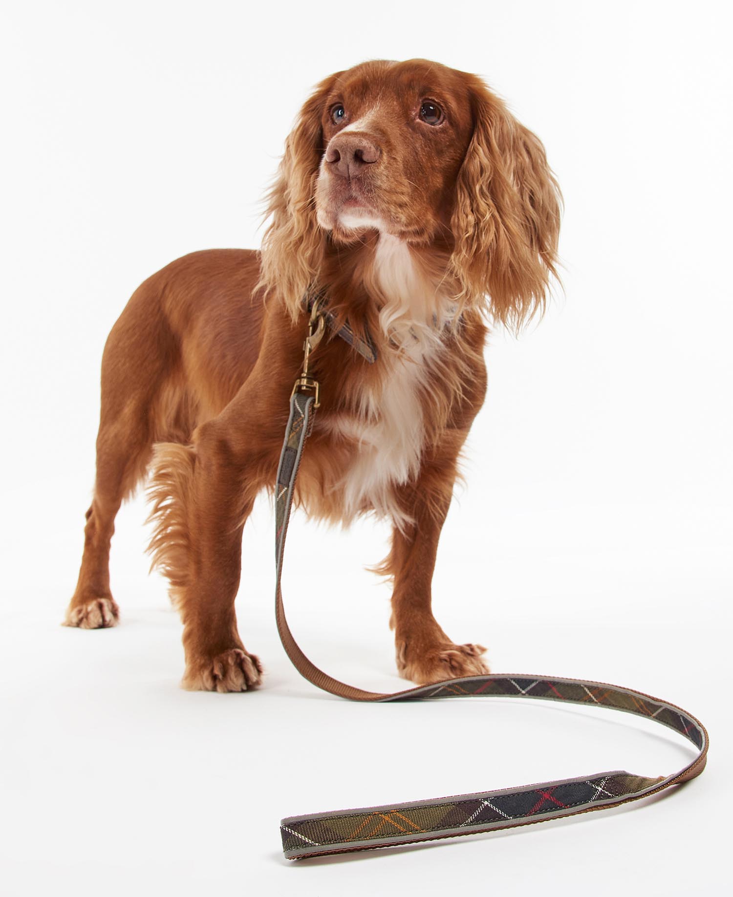 Reflective Tartan Dog Lead image number 0