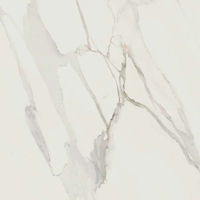 Valentina Calacatta 24×24 Field Tile Matte Rectified
