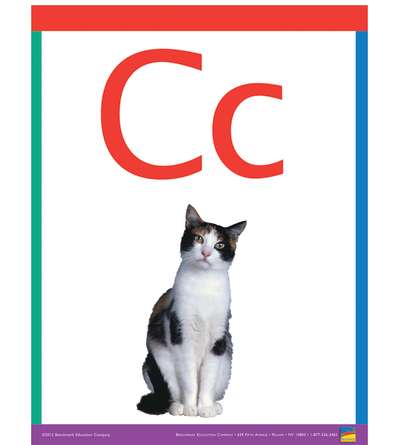s--1XjvPGMN--/qmao3msuedt1xq70mqsa.jpg