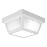 Two-Light Ceiling Light Polypropylene 120V 60W Hardwired Power Source Medium Base White 5-1/2 H x 10-1/4 W in.