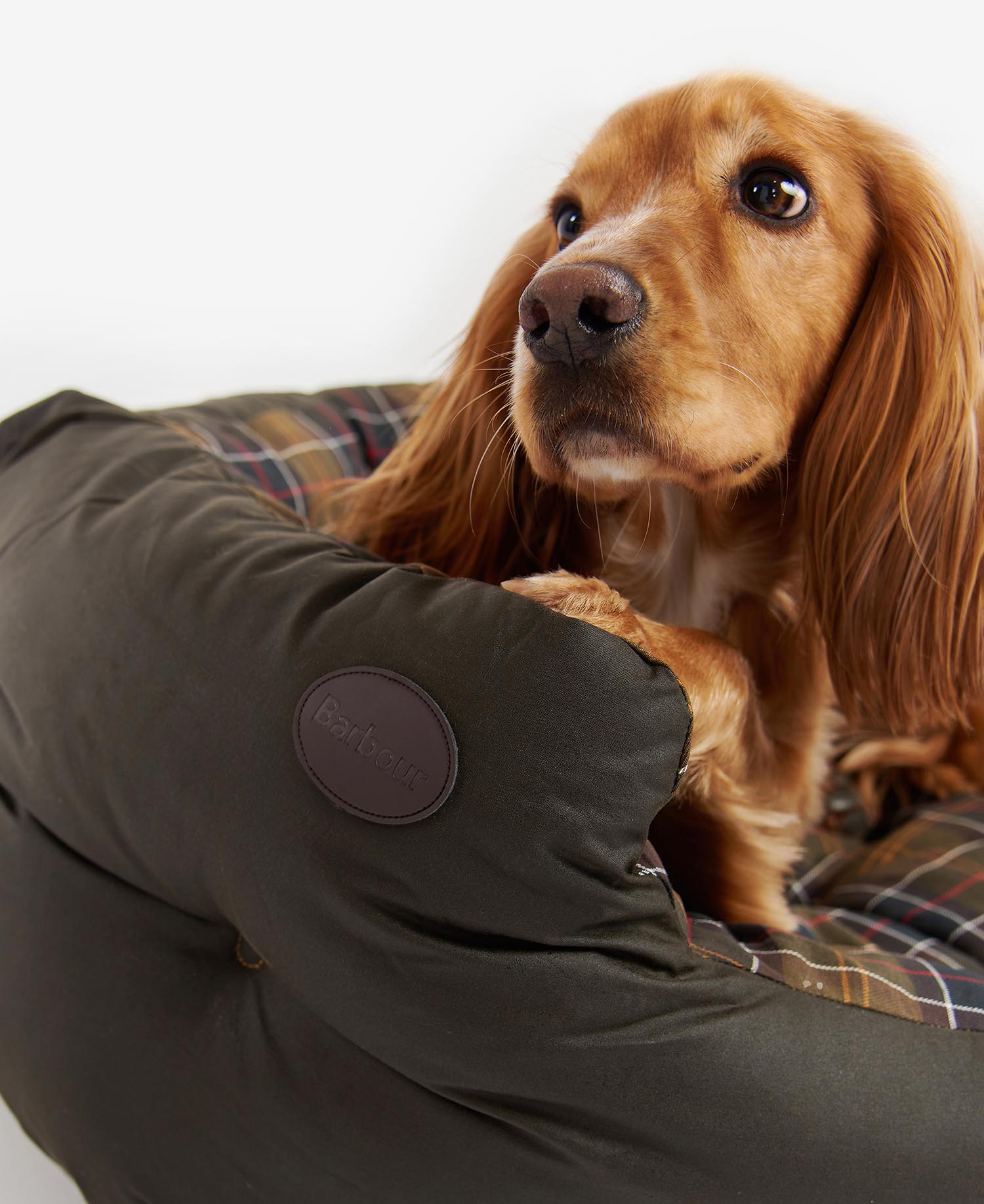 Letto per cani Cera/Cotone 88,9 cm image number 3