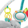 Enchanted Elephants Activity Gym™