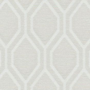 Essie Blackout Taupe Roller Blind