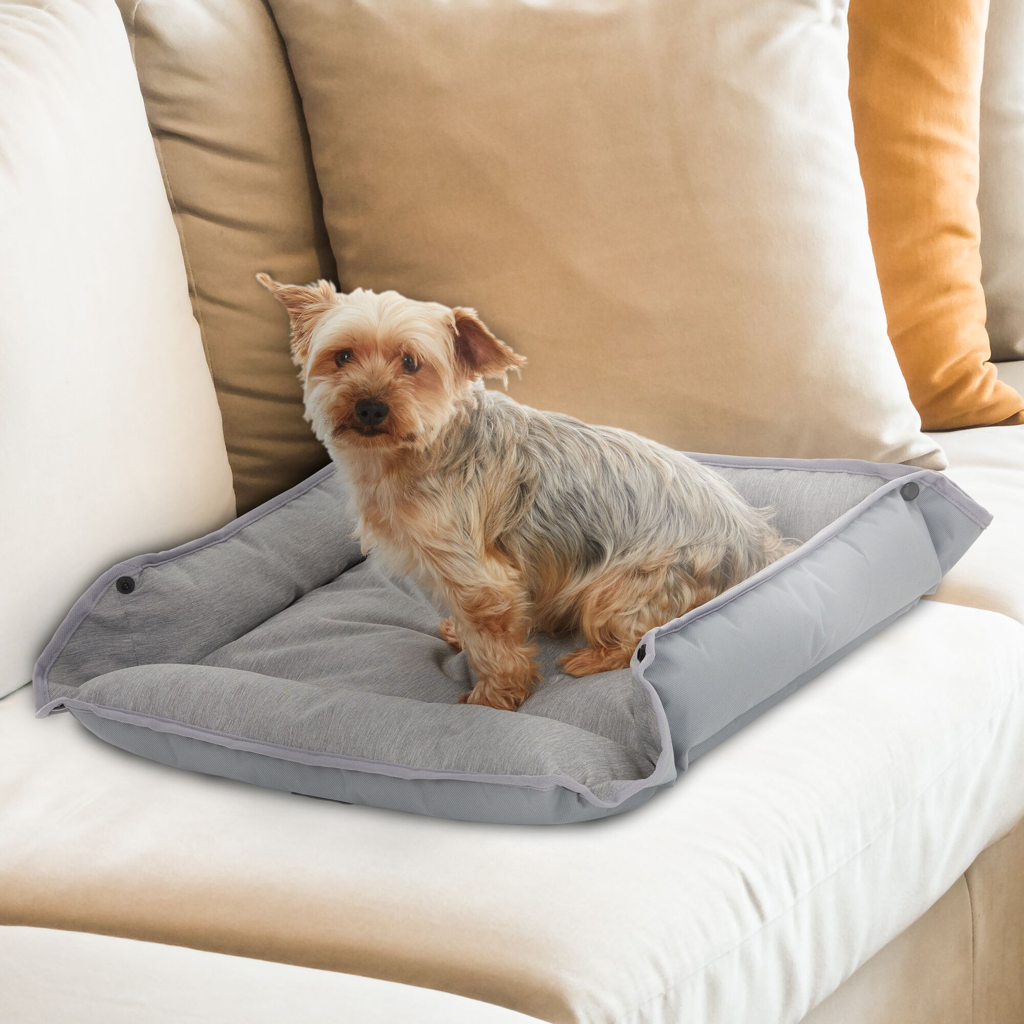 Gray four sided plush BLACK+DECKER dog bed on a light colored sofa with a yorkie dog upon it