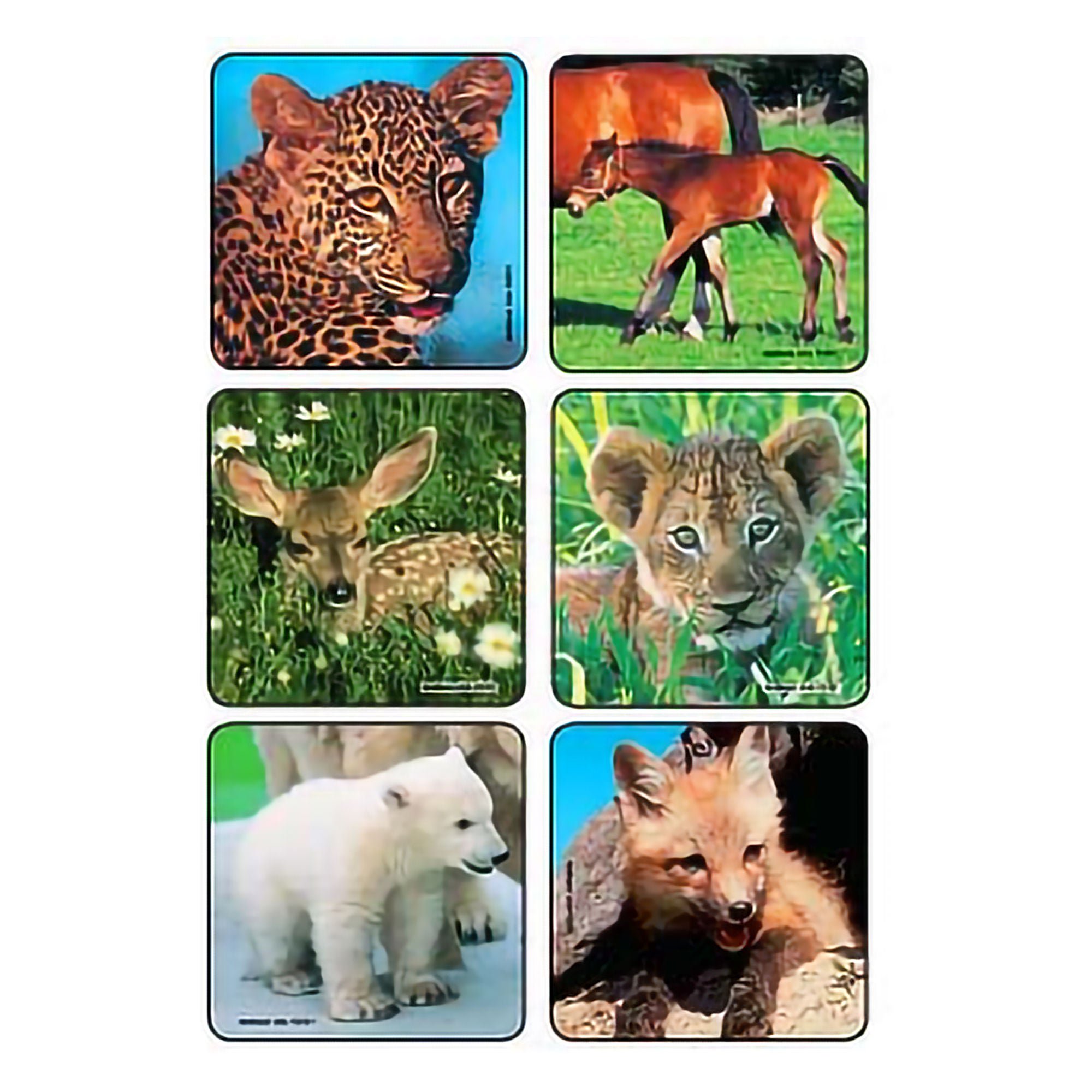Sticker Kids Love Stickers® 90 per Pack Baby Animal Photos , Assorted 2-1/2 X 2-1/2 Inch