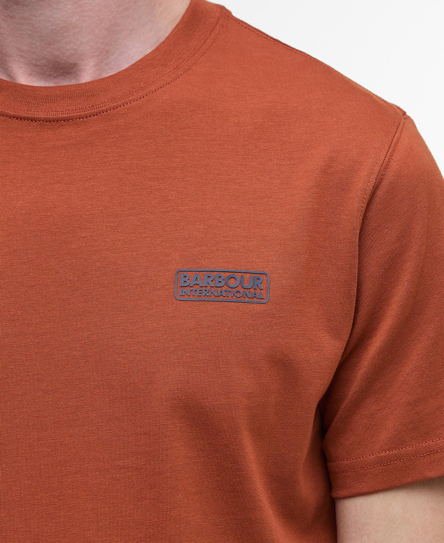Small Logo T-Shirt image number 4