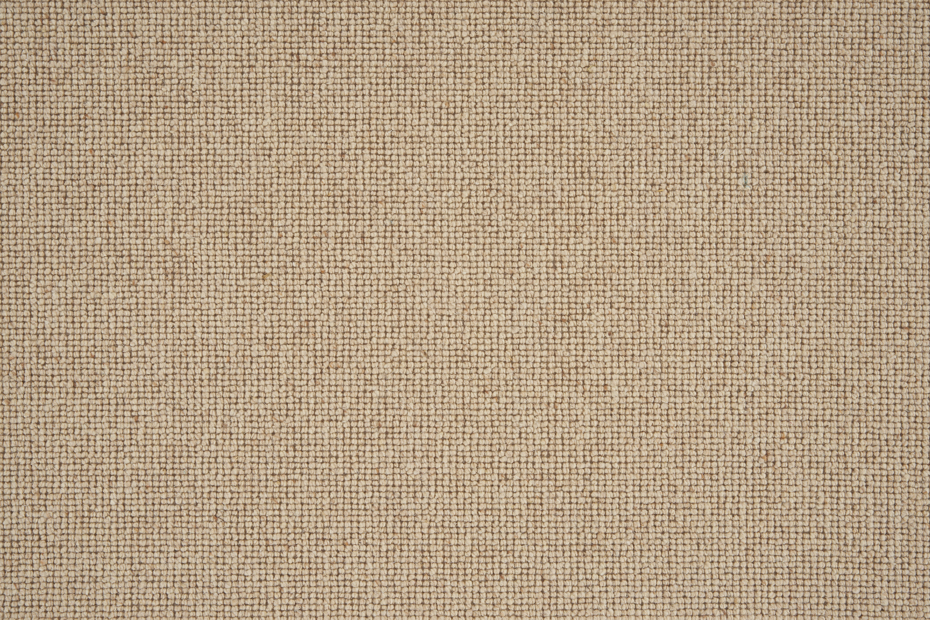 color-rug1