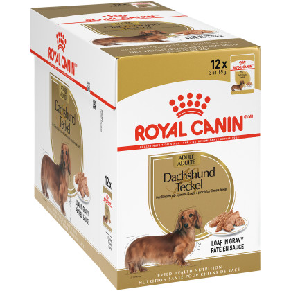 Royal Canin Breed Health Nutrition Dachshund Pouch Dog Food