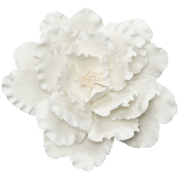 White Peony - Red 3 Free Gum Paste Flowers