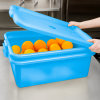 7-inch deep Traex® Color-Mate blue food storage drain box set with recessed lid