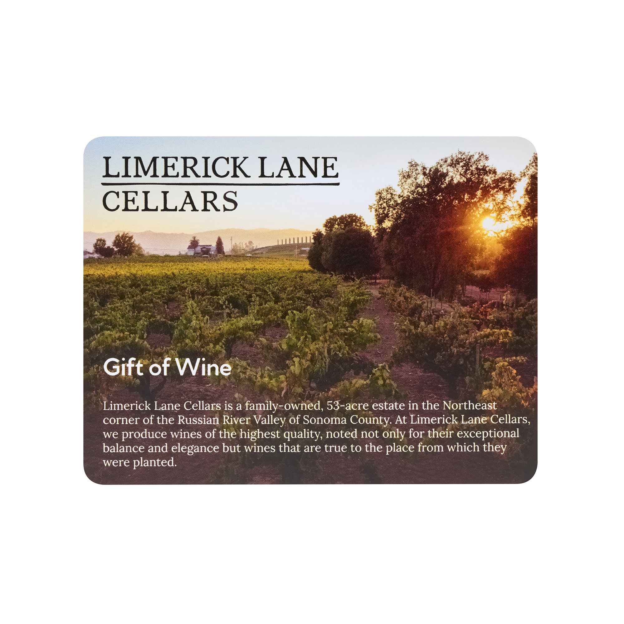 Limerick Lane Cellars Wine &#38; Gourmet Backpack Cooler Gift Set-Gourmet Expressions