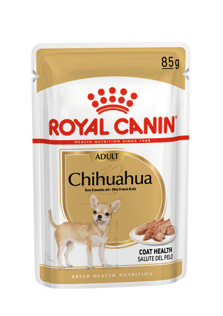 Chihuahua Adult (in loaf)