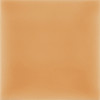 Vivid Apricot 3×6 Field Tile Glossy