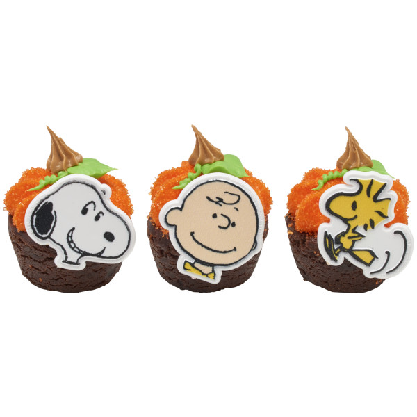 Peanuts® Snoopy®, Charlie Brown and Woodstock® Cupcake Rings