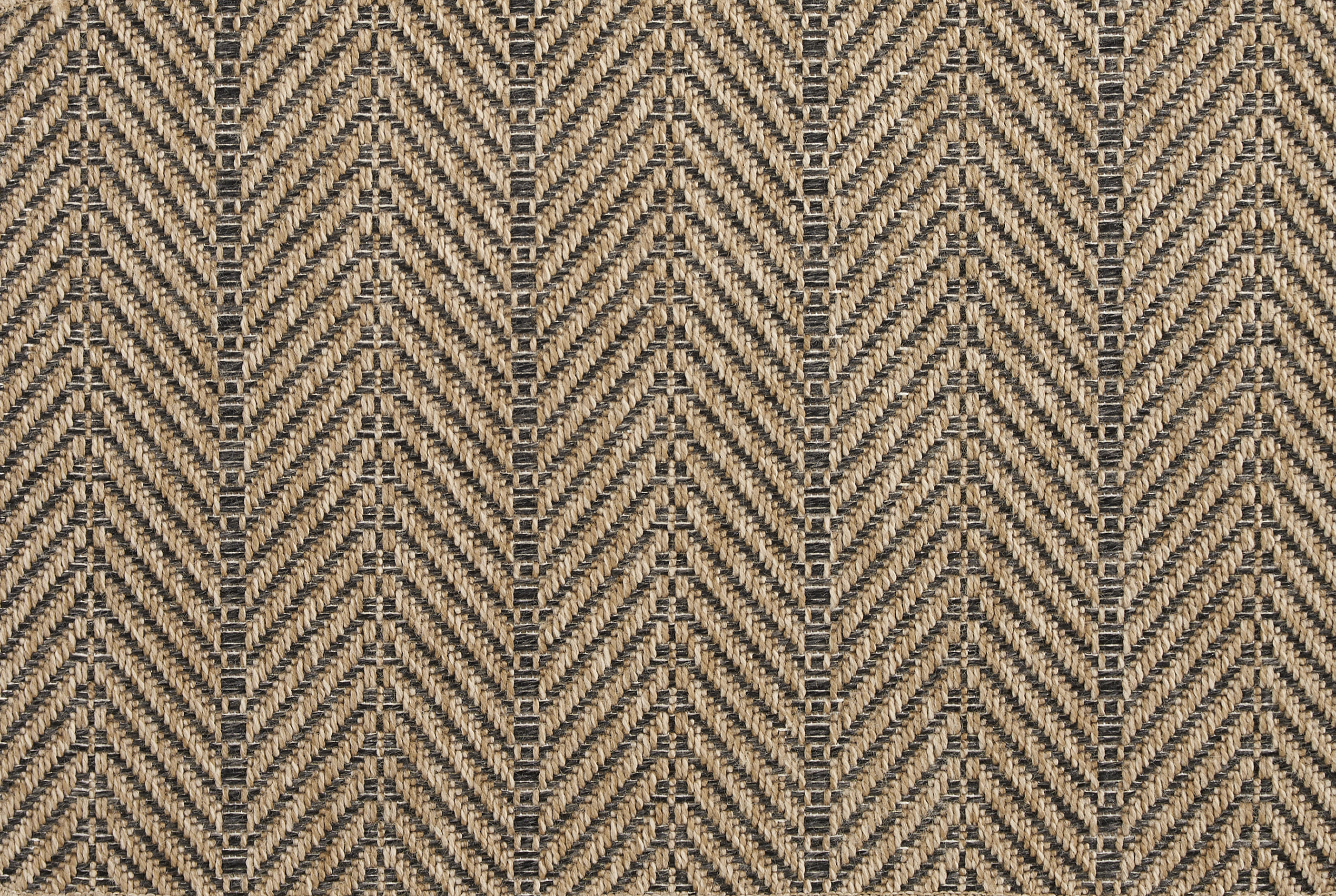 color-rug1