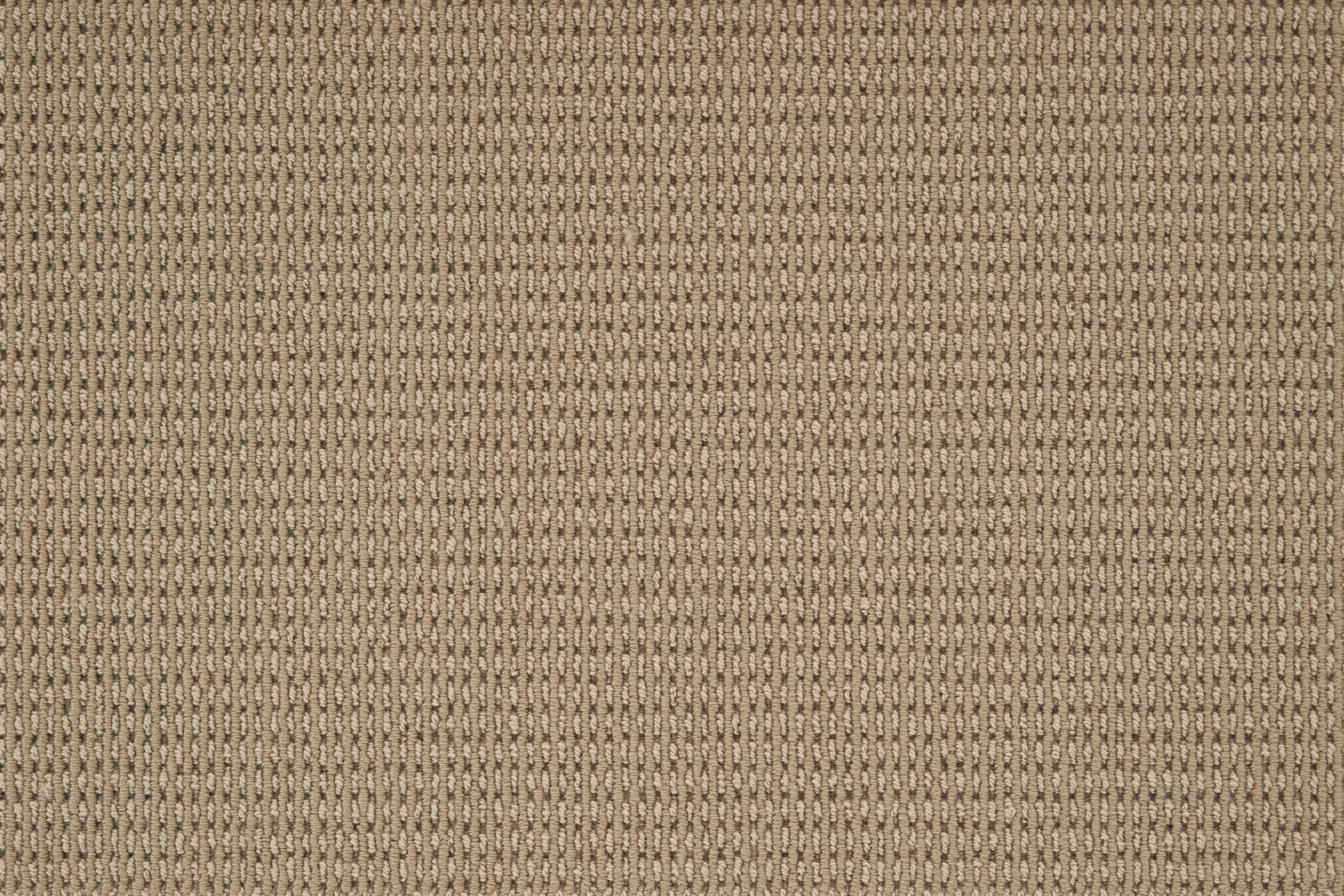 color-rug1