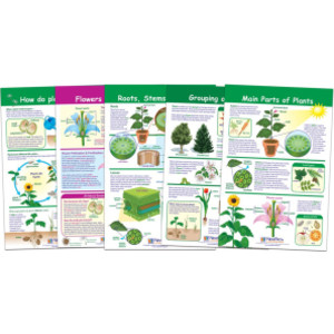 All About Plants Bulletin Board Charts, Set of 5