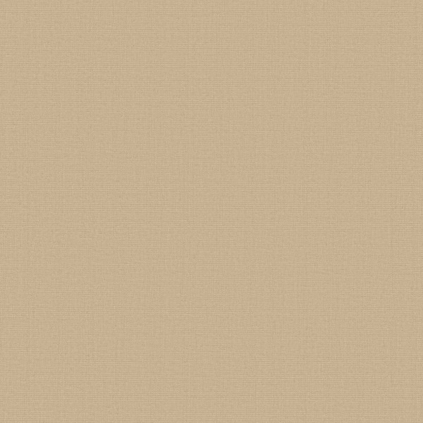 Beige square field fills the frame, uniformly colored with subtle fine-grain texture; no distinct objects, patterns, or text, appearing as a flat neutral background.