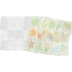 Leaf Rubbing Plates, Pack of 16