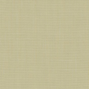 Be Be-95 Roman Blind