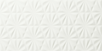 Simpatico Fellowship 12×24 Botanic Decorative Tile Glossy Rectified