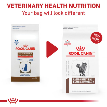 Royal Canin Veterinary Diet Feline Gastrointestinal Dry Cat Food