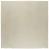 Notorious Private Eye 24×24 Field Tile Matte Rectified