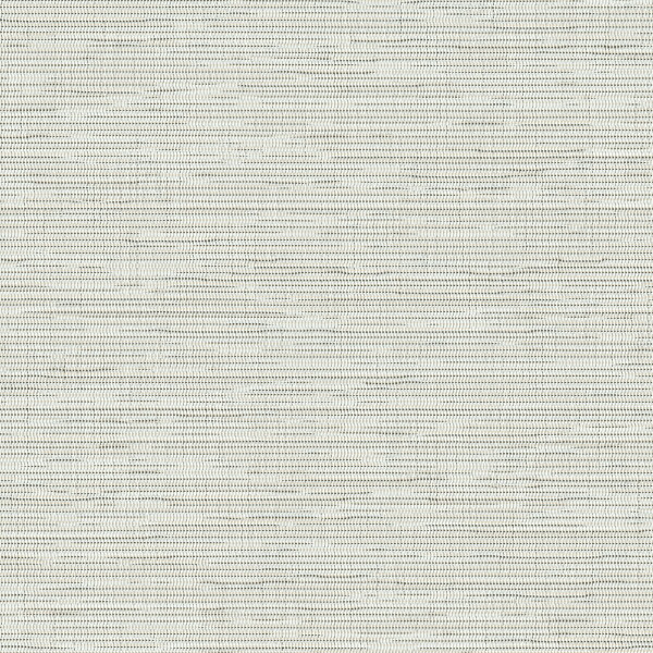 Light gray textured surface displays fine horizontal striations and a subtle crosshatch weave, resembling linen fabric or textured wallpaper across a flat, evenly lit background.