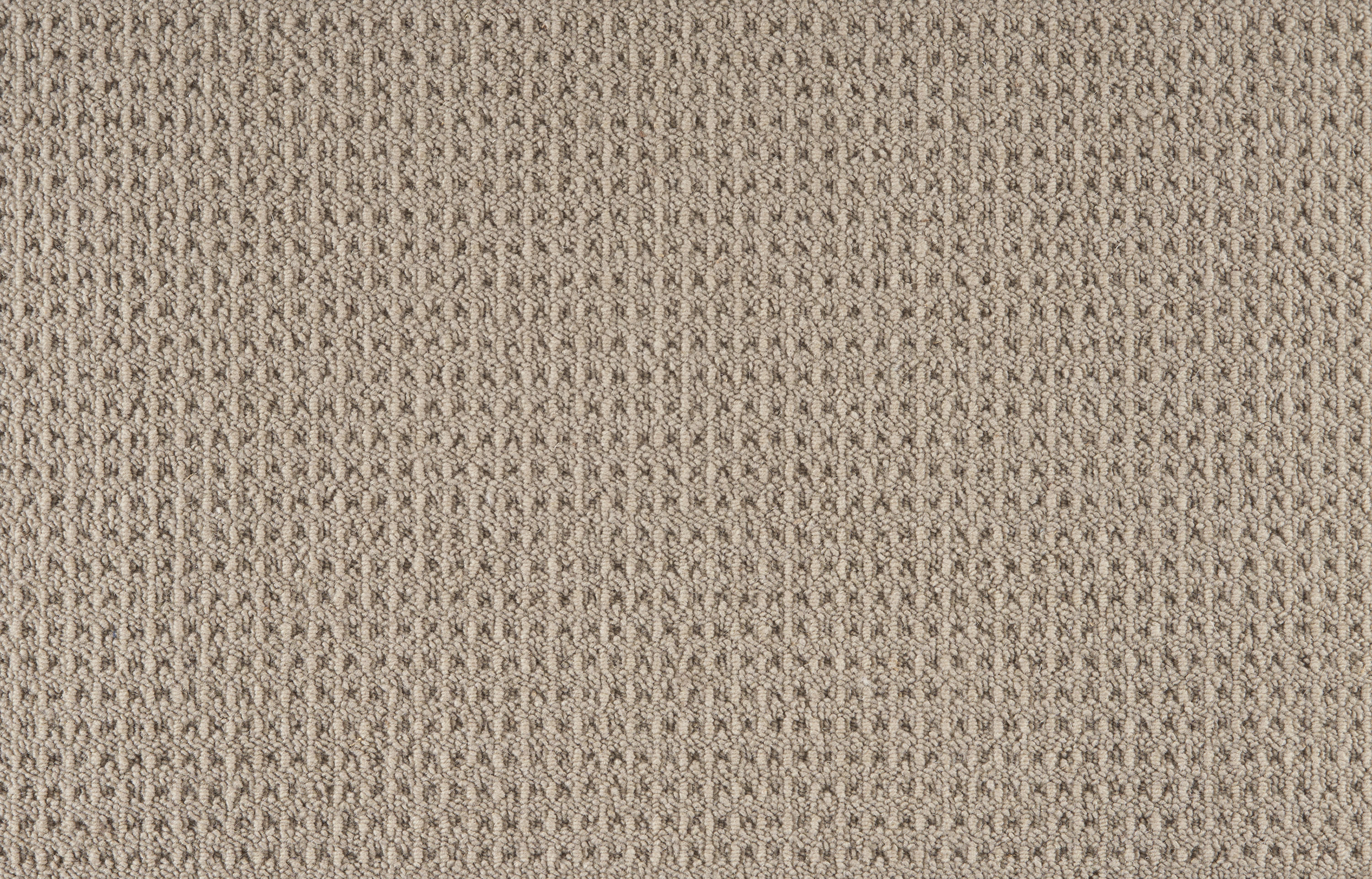 color-rug1