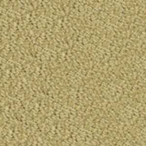 color-rug1