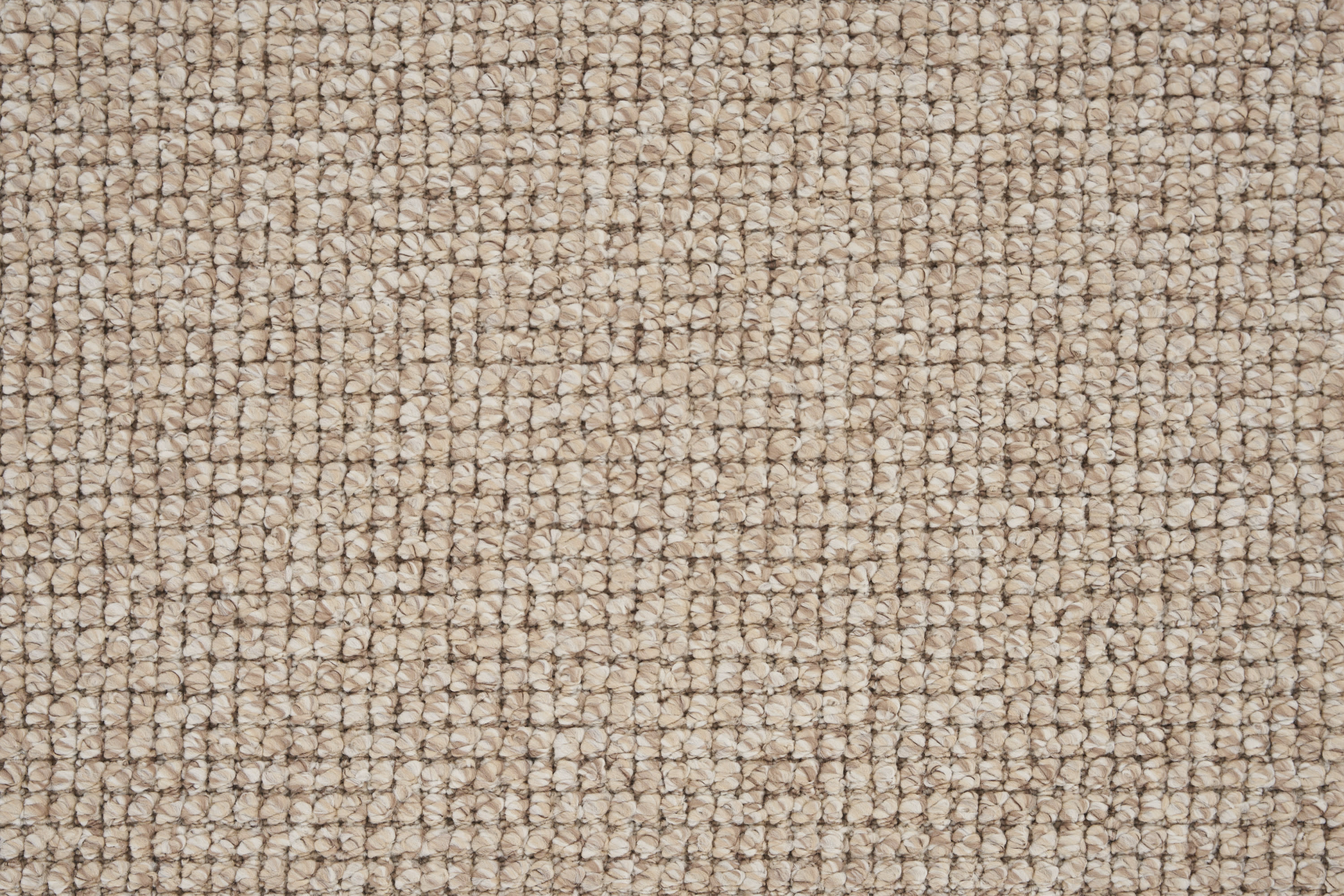 color-rug1