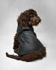 Barbour x ARKET Fairgame Waxed Dog Coat Sage
