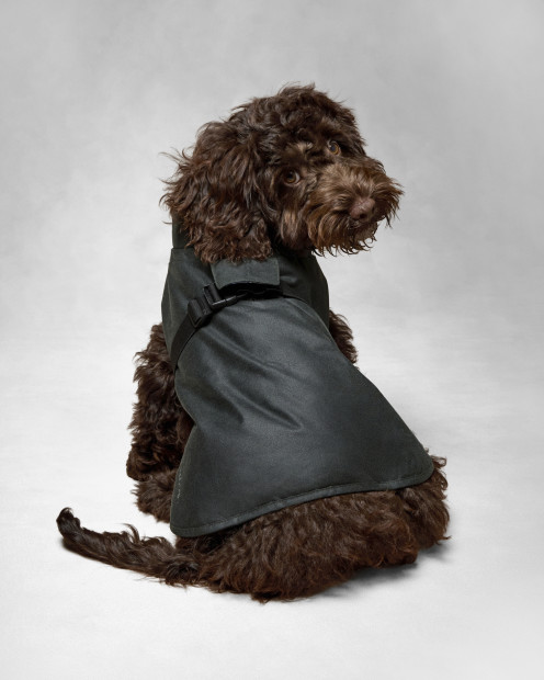 Barbour x ARKET Fairgame Waxed Dog Coat Sage