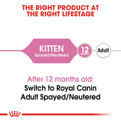 Kitten Spayed / Neutered Dry Cat Food