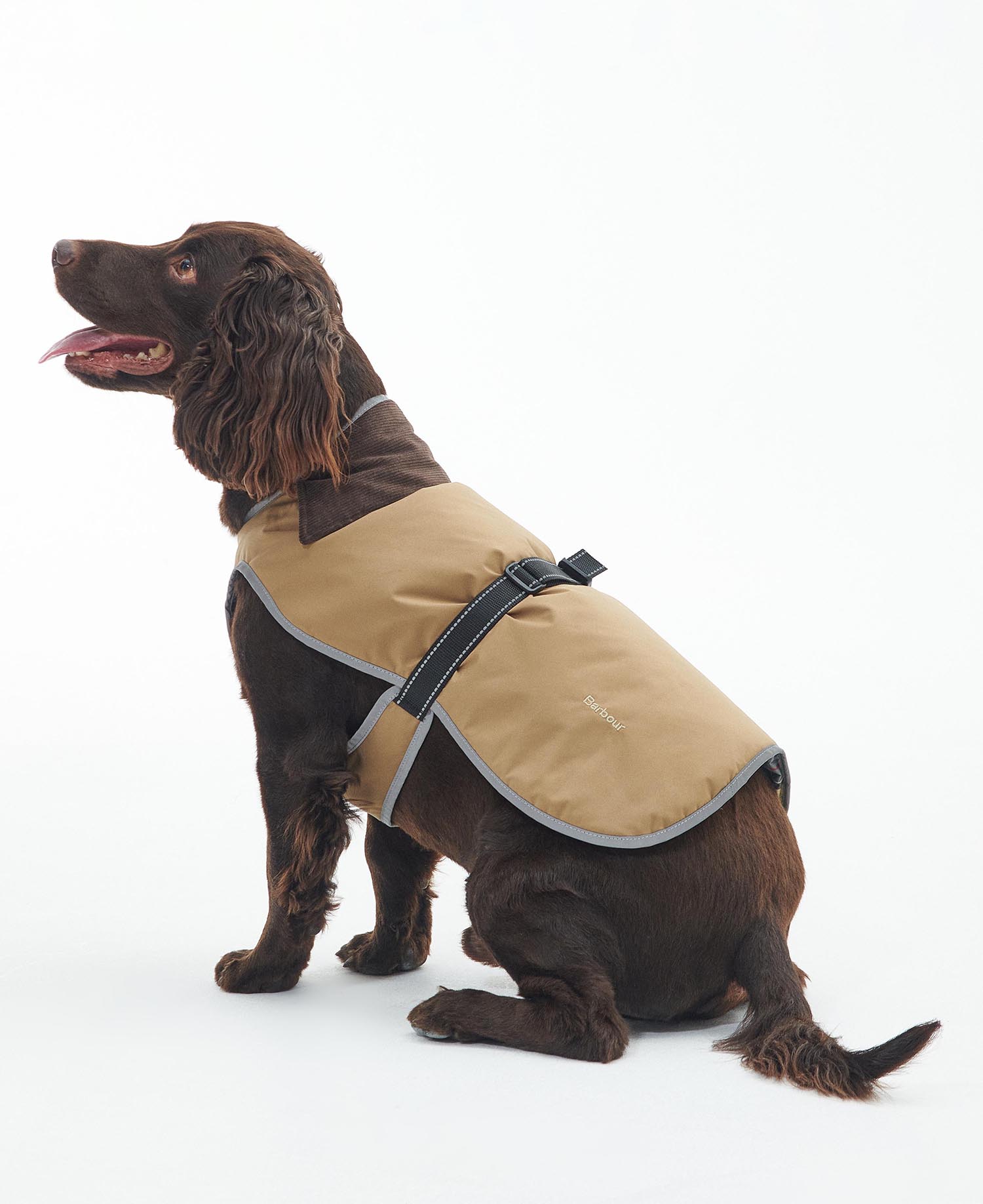 Monmouth Waterproof Dog Coat image number 0