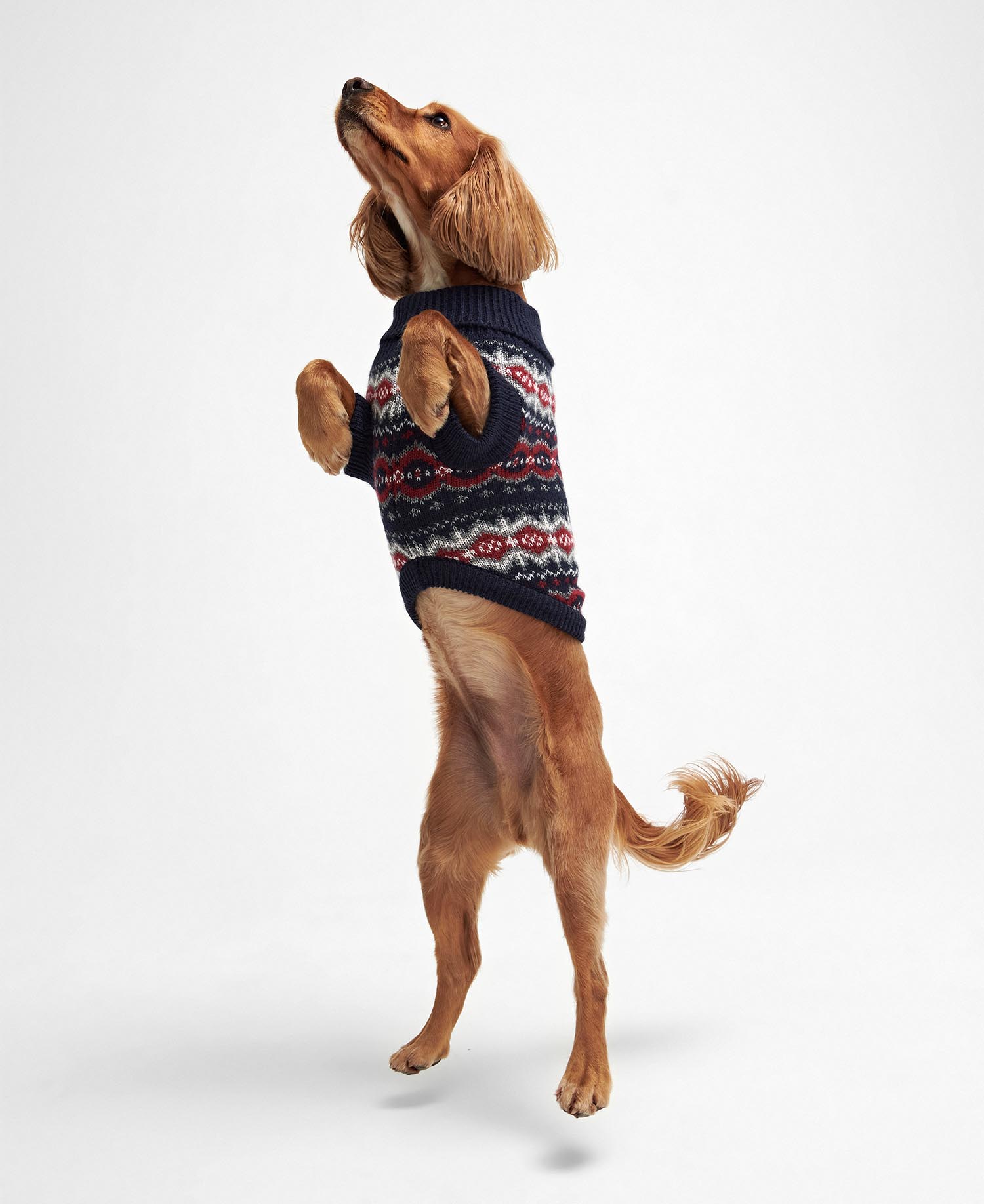 Case Fairisle Dog Jumper image number 1
